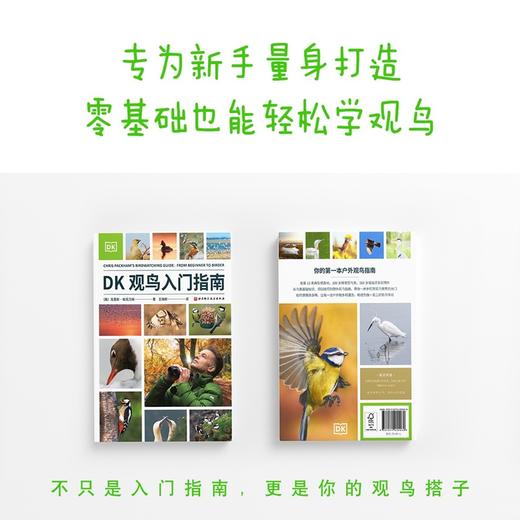 DK观鸟入门指南：BBC动物主持人写给新手的观鸟入门书 商品图1