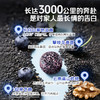 劲家庄·蓝莓芝麻丸返场！低GI实测认证，满满花青素+DHA，1-7盒全家共享装 商品缩略图5