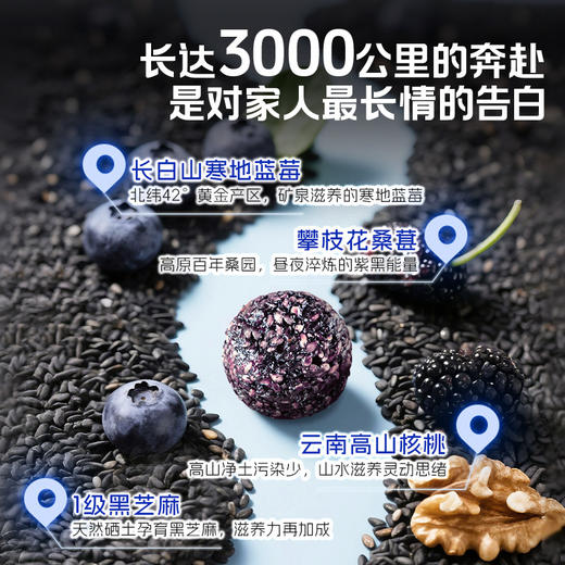 劲家庄·蓝莓芝麻丸返场！低GI实测认证，满满花青素+DHA，1-7盒全家共享装 商品图5