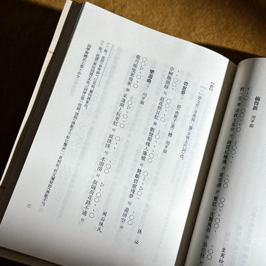 词学辨体式 词谱要籍整理与汇编 精装 商品图12