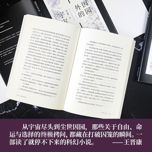 因园外的宇宙 商品图3