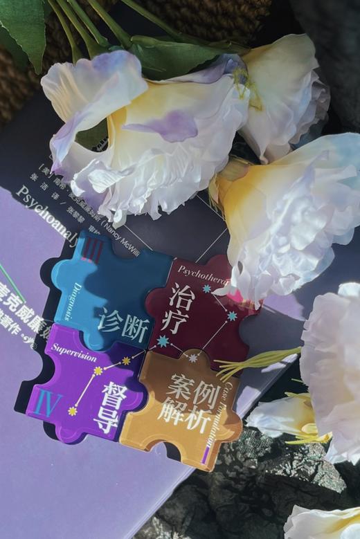 万千心理·精神分析督导 商品图7