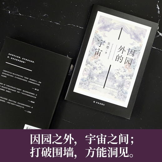 因园外的宇宙 商品图1