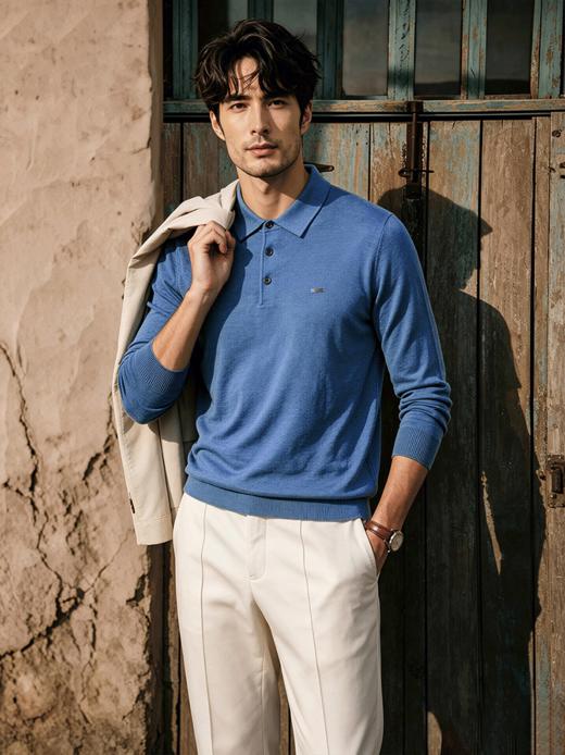 Hilnan&Bellne 哈蒙·班尼男士经典翻领羊毛针织POLO 260826 商品图0