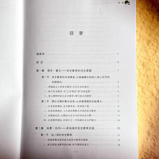 为童年筑起安全的堡垒 幼儿园安全教育实践创新 林艳 商品图7