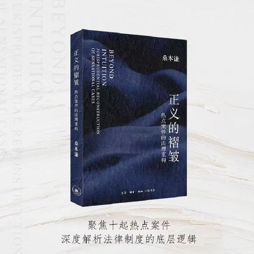 正义的褶皱：热点案件的法理重构【三联】 商品图2