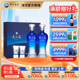 洋河 天之蓝礼盒(2018版) 46度480mL 双支装