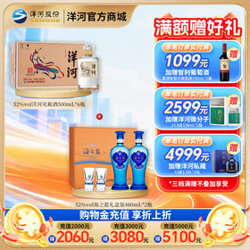 【组合装】52度海之蓝礼盒(2018版) 480mLx2瓶+52度洋河光瓶酒500mLx6瓶