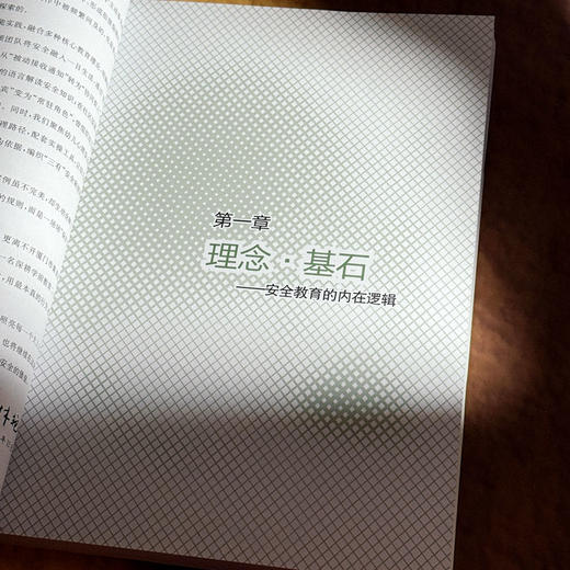 为童年筑起安全的堡垒 幼儿园安全教育实践创新 林艳 商品图8