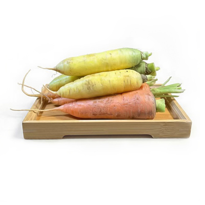 山西多种蔬菜（太原农场）
