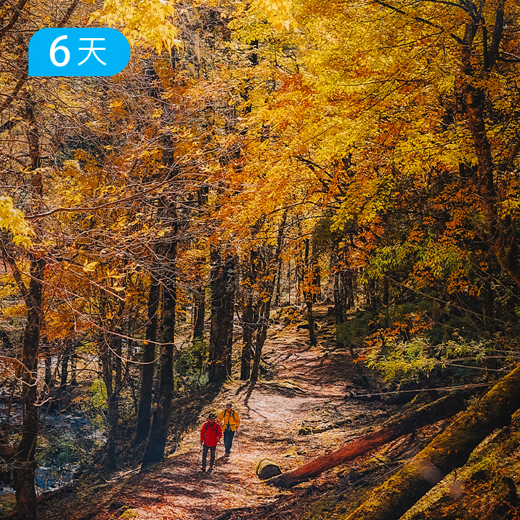 尼汝秘境｜五大牧场52公里徒步穿越 云南香格里拉治愈之旅 赏中国十大绝美秋色之一 6日