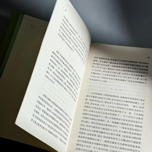 路 格拉克文集 法国20世纪经典作家格拉克后期重要作品 商品图9