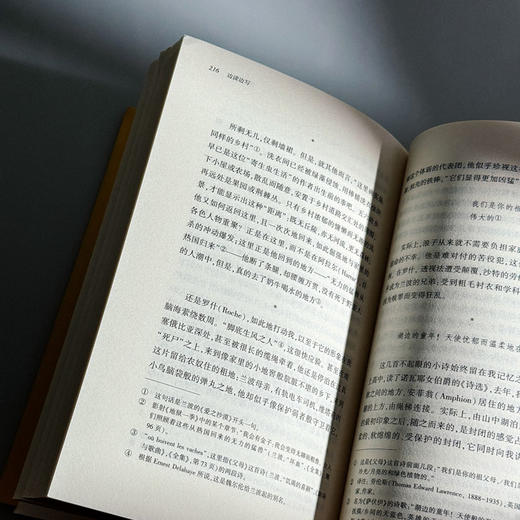 边读边写 朱利安 格拉克文集 商品图12