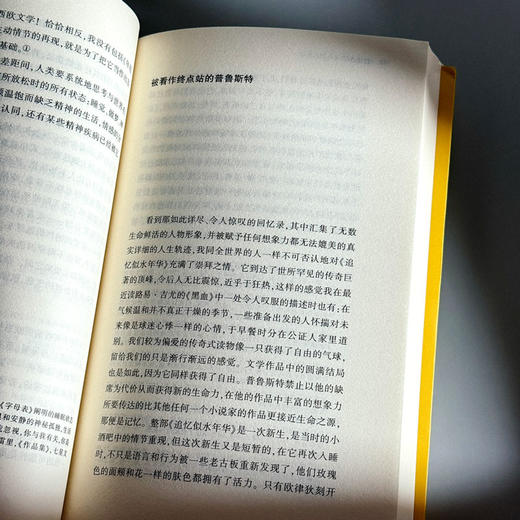 边读边写 朱利安 格拉克文集 商品图10