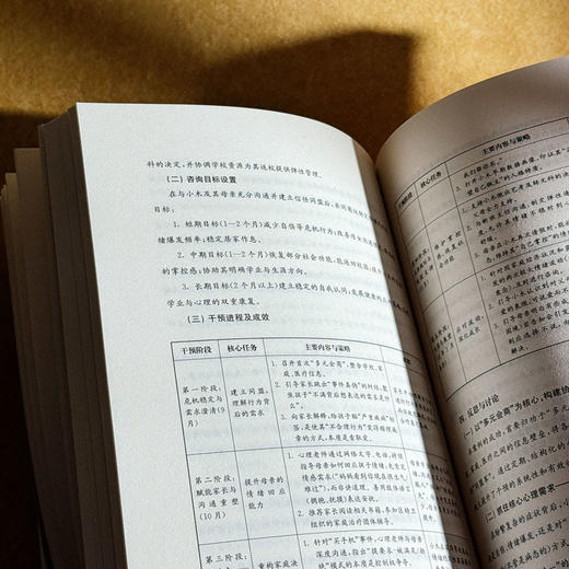 “全员导师制”背景下学生的心理危机预防与干预 鞠瑞利 周嘉 梅晓菁 商品图11