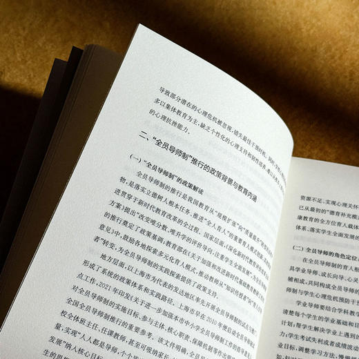 “全员导师制”背景下学生的心理危机预防与干预 鞠瑞利 周嘉 梅晓菁 商品图9