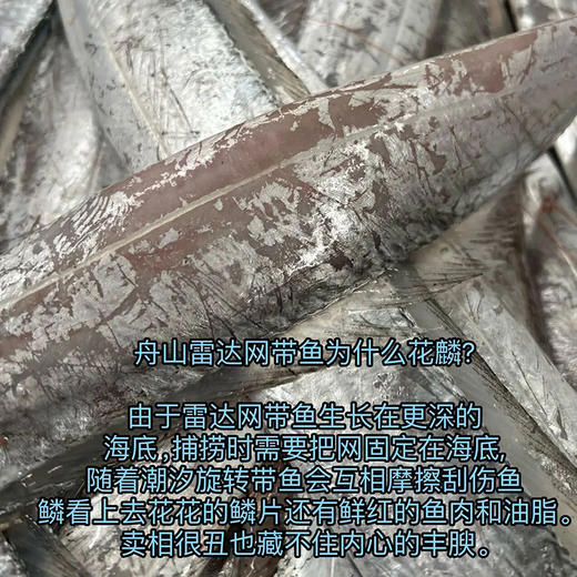 疯抢中！！顺丰冷链【双11活动！下单即送非遗水磨年糕】【正宗舟山雷达网带鱼】鱼身厚实 肉质鲜嫩 不腥不腻 刺少好吃 营养丰富 老少皆宜 带鱼段/整条带鱼/手提盒装 商品图11