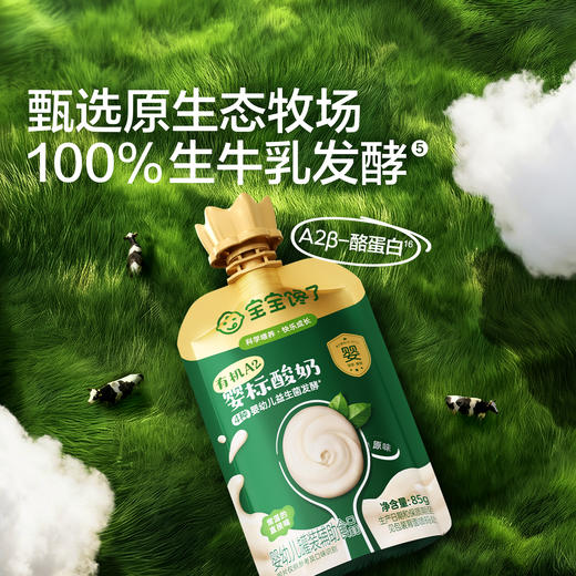 【宝宝馋了】有机A2ß-酪蛋白婴儿酸奶无添加白糖婴标儿童常温酸奶宝宝辅食DB 商品图2