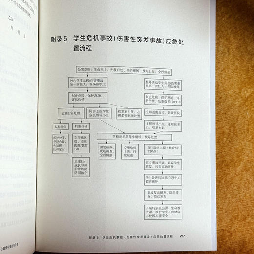 “全员导师制”背景下学生的心理危机预防与干预 鞠瑞利 周嘉 梅晓菁 商品图14