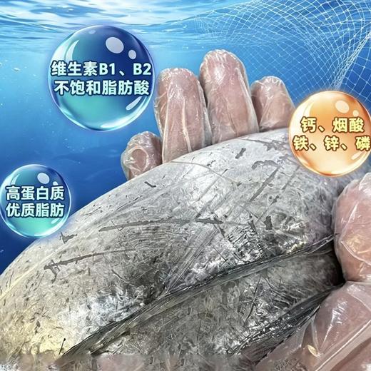 疯抢中！！顺丰冷链【双11活动！下单即送非遗水磨年糕】【正宗舟山雷达网带鱼】鱼身厚实 肉质鲜嫩 不腥不腻 刺少好吃 营养丰富 老少皆宜 带鱼段/整条带鱼/手提盒装 商品图5