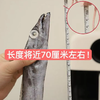 疯抢中！！顺丰冷链【双11活动！下单即送非遗水磨年糕】【正宗舟山雷达网带鱼】鱼身厚实 肉质鲜嫩 不腥不腻 刺少好吃 营养丰富 老少皆宜 带鱼段/整条带鱼/手提盒装 商品缩略图4