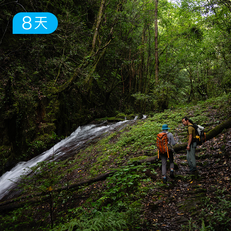 滇·茶马古道100公里人文徒步｜此生必徒系列 跟着中国最后的马锅头 重走云南千年茶马古道 8日