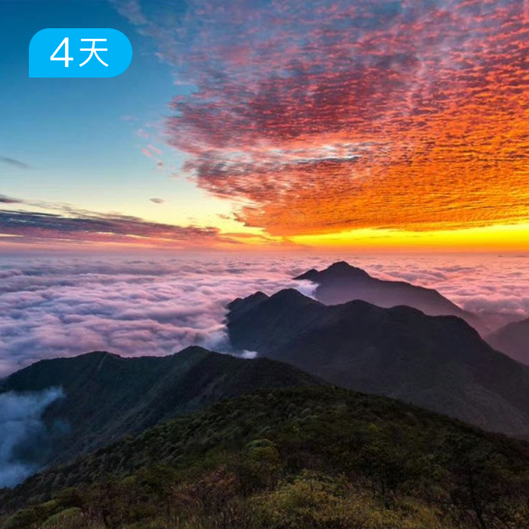 千八穿越✖️浙江屋脊| 江浙第一高峰 42公里进阶级挑战 4日