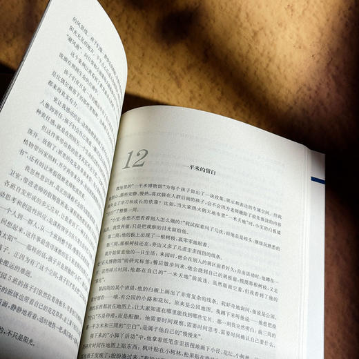 幼儿为本 重构幼儿园一日生活 上海市提升中小学（幼儿园）课程领导力行动研究项目（第四轮）系列成果丛书 商品图13