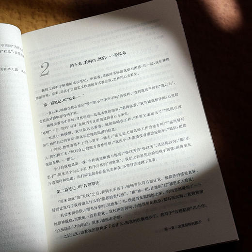 幼儿为本 重构幼儿园一日生活 上海市提升中小学（幼儿园）课程领导力行动研究项目（第四轮）系列成果丛书 商品图10