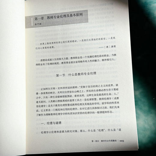 教师专业伦理基础与实践 大夏书系 师道文丛 檀传宝 商品图9