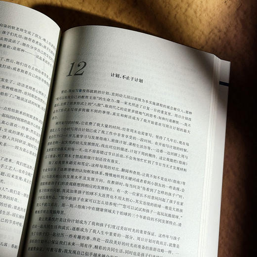 幼儿为本 重构幼儿园一日生活 上海市提升中小学（幼儿园）课程领导力行动研究项目（第四轮）系列成果丛书 商品图11