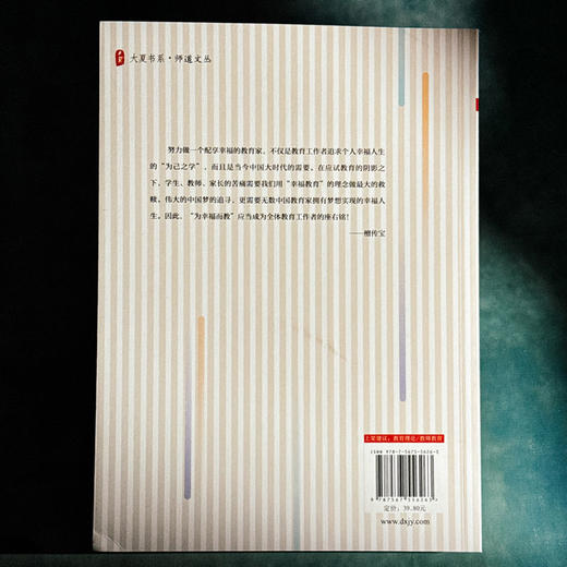 教师专业伦理基础与实践 大夏书系 师道文丛 檀传宝 商品图2