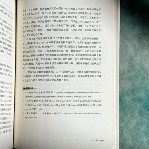 教师专业伦理基础与实践 大夏书系 师道文丛 檀传宝 商品图14
