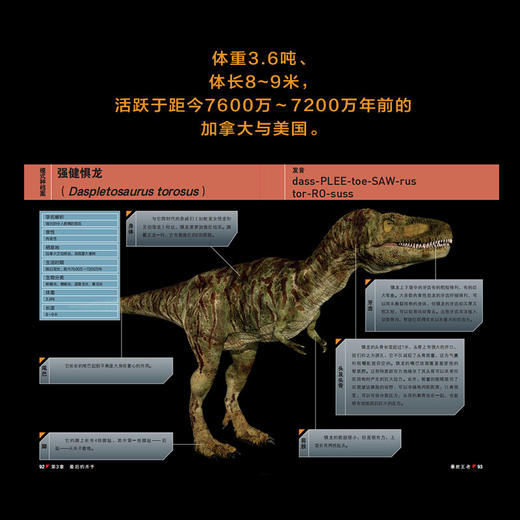 恐龙星球：揭秘史前巨型杀手（第三版） 商品图3