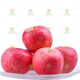 陕西洛川苹果  1斤 （85）