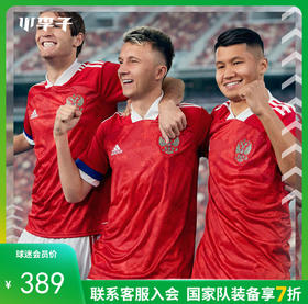 ADIDAS/阿迪达斯 欧洲杯 俄罗斯主场 短袖比赛服球迷版球衣