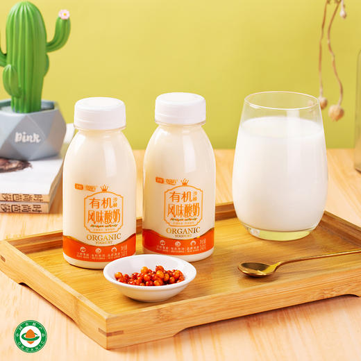 圣牧塞茵苏有机酸牛奶 原味沙棘风味低温酸奶组合240g*7瓶 商品图3