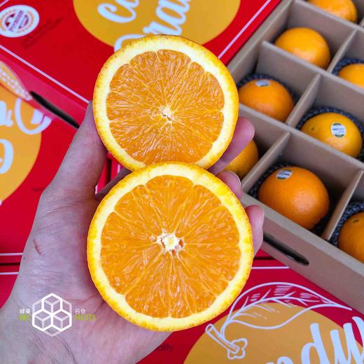 【西班牙 进口橙】西班牙进口橙，甜度高，水分多，好橙子切块也很甜嫩，榨汁也合适！ 商品图2