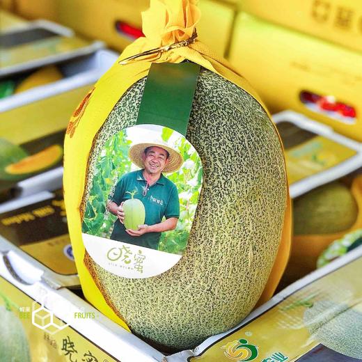 正宗晓蜜胜杰丝路晓蜜哈密瓜脆甜口感瓜瓤黄色甜度非常高多汁又好吃