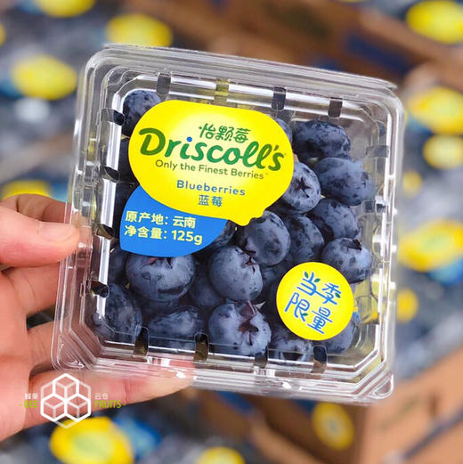 【怡颗莓系列蓝莓】怡颗莓Driscoll’s 蓝莓，口不错，硬度高，入口酸甜滋味！ 商品图1