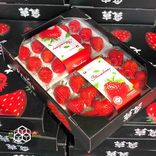 【有仙气的草莓】孕妇儿童放心吃，本地红颜草莓，无膨大剂，无催熟，自然成熟，当季时鲜！！ 商品图8