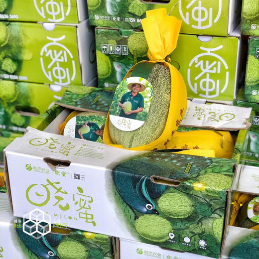 【正宗晓蜜】胜杰丝路晓蜜，哈密瓜，脆甜口感，瓜瓤黄色，甜度非常高，多汁又好吃！ 商品图5