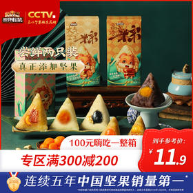 满300减200丨三只松鼠_两只装粽子200g/端午咸粽甜粽送礼品嘉兴特产小吃【单拍不发货】