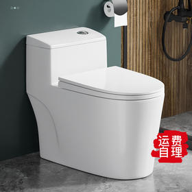 SQ：0473双孔超漩式8.0大管道