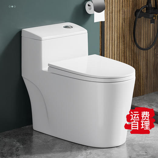 SQ：0473双孔超漩式8.0大管道 商品图0