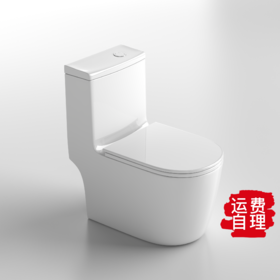 8273 W6抗冻马桶