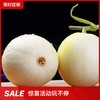 阎良小籽甜瓜 生鲜白皮小香瓜脆甜 五斤装【QY】 商品缩略图0