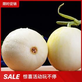 阎良小籽甜瓜 生鲜白皮小香瓜脆甜 五斤装【QY】