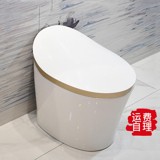 2103S金边半智能(脚感冲水)脉冲马桶 商品图0