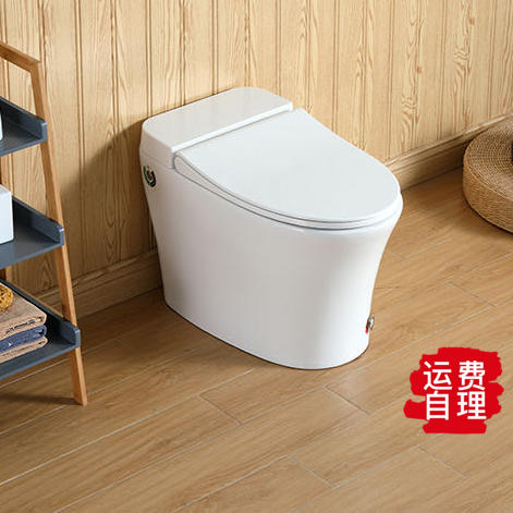 3005S半智能连体坐便器 -全白（脚感冲水）脉冲马桶 脲醛盖板 商品图1